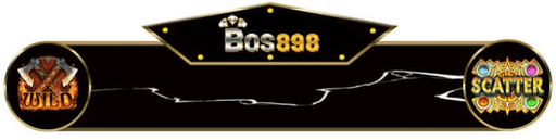 BOS898 Logo